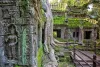 Ta Phrom Tempel mit gigantischen Bäumen und Wurzeln